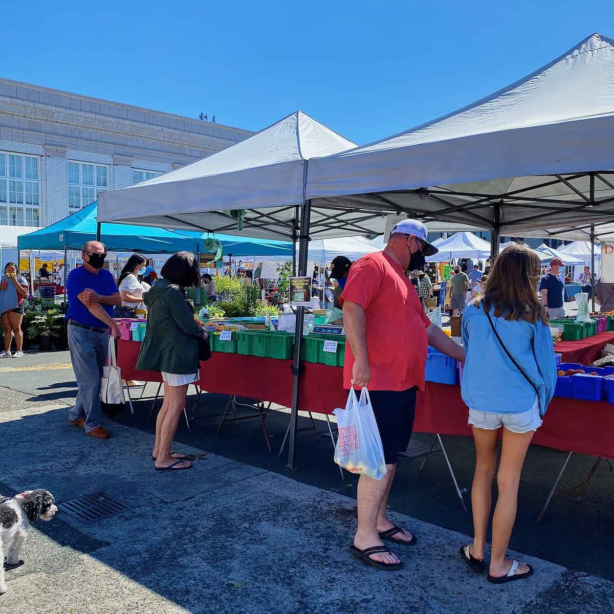 Astoria Area Dining Guide + • What's On Kate's Plate