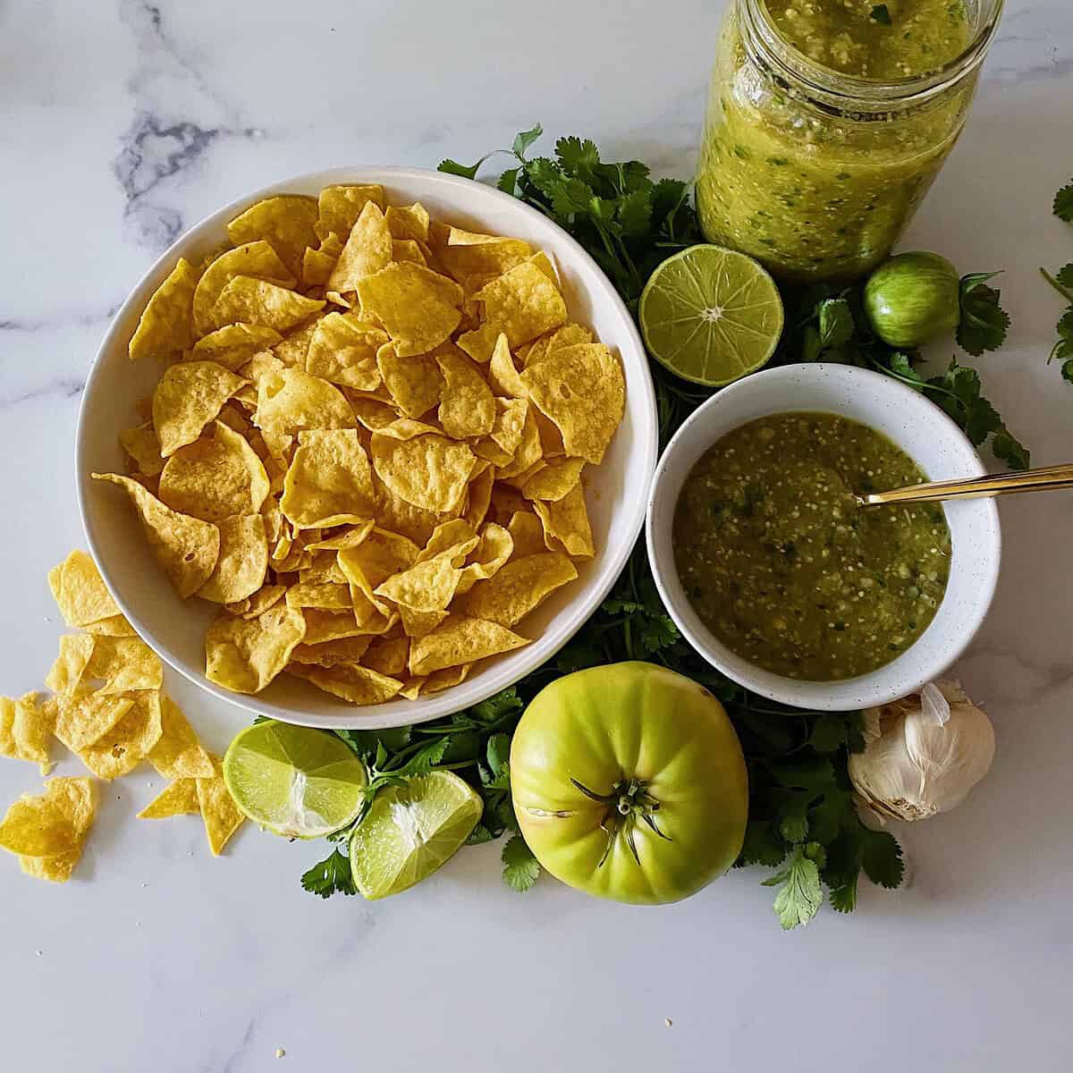 Roasted Tomatillo + Green Tomato Salsa Verde • What's On Kate's Plate