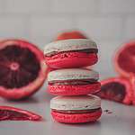 Food photographer closeup shot of cardamom macarons with blood orange curd and chocolate cream cheese filling