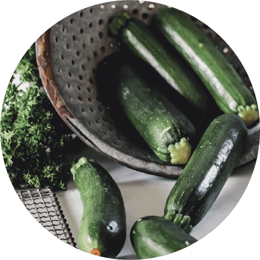 Zucchini from the garden staged and shot by food photographer