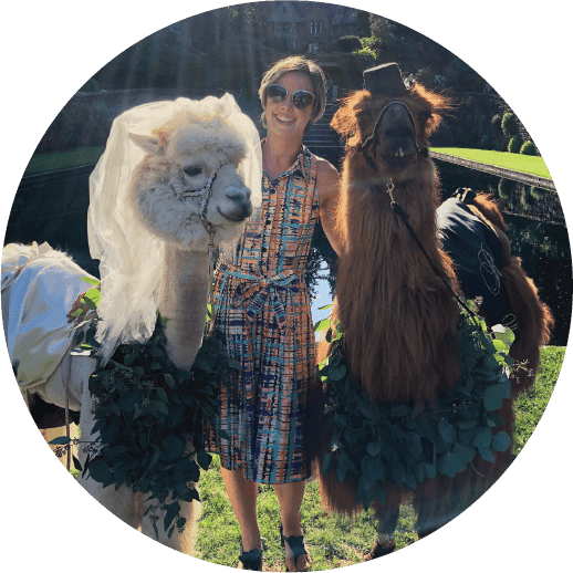 Kate with two dressed up llamas at wedding event